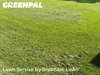 Lawn Mow nearby Gonzales, LA, 