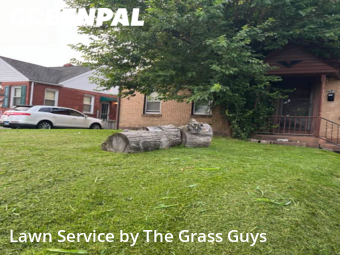 Lawn Mowing Service nearby Granite City, IL, 