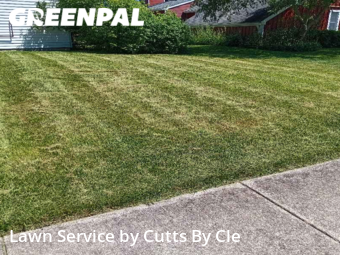 Lawn Cut nearby Maumee, OH, 