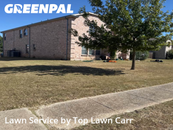 Property Maintenance in Cedar Hill, 75104, Yard Maintenance by Top Lawn Carr, work completed in Nov , 2025