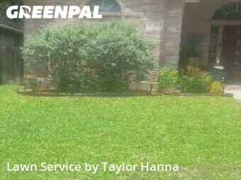 Yard Cutting nearby San Antonio, TX, 