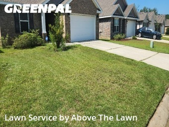 Yard Services in Bellview, 32526, Yard Management by Above The Lawn, work completed in Nov , 2025