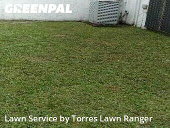 Grass Cutting nearby The Crossings, FL, 