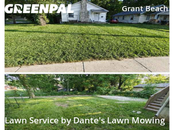 Lawn Mow nearby Springfield , MO, 