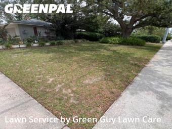 Lawn Cutting nearby Temple Terrace, FL, 
