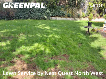 Grass Cut nearby Portland, OR, 