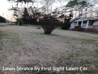 Lawn Cut nearby Center Point, AL, 