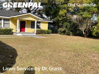 Grass Cut nearby Tampa, FL, 