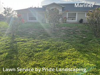 Lawn Mowing Service nearby Cape Coral, FL, 
