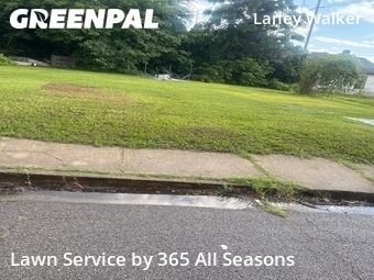 Grass Cut nearby Augusta, GA, 
