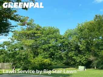 Lawn Cut nearby Conroe, TX, 