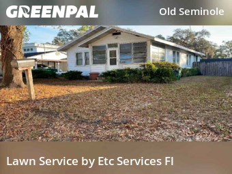 Lawn Servicein Tampa,33604,Yard Cutting by Etc Services Fl, work completed in Dec , 2025