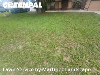 Grass Cutting nearby Grand Island, FL, 