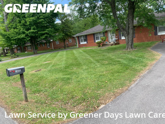 Lawn Cut nearby Murfreesboro, TN, 