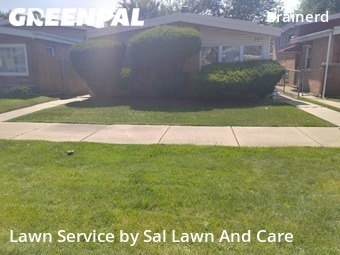 Lawn Care nearby Chicago, IN, 