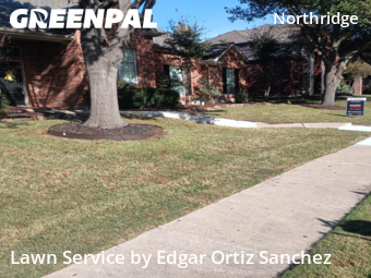 Lawn Mowing Service in Frisco, 75034, Lawn Care by Edgar Ortiz Sanchez, work completed in 25 Nov, 2025 