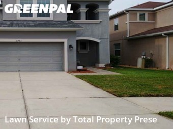 Lawn Mow nearby Wesley Chapel, FL, 