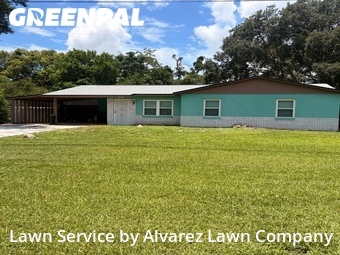 Yard Cutting nearby Apopka, FL, 