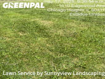 Lawn Mow nearby Chicago Heights, IL, 