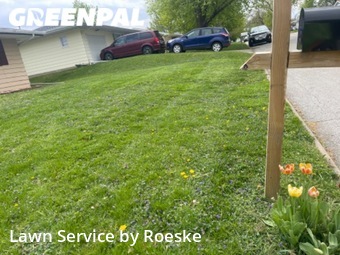 Lawn Maintenance nearby Bloomington, IL, 