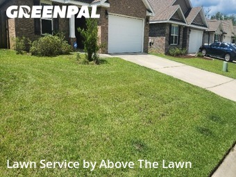 Weed Trimming in Bellview, 32526, Turf Services by Above The Lawn, work completed in Nov , 2025