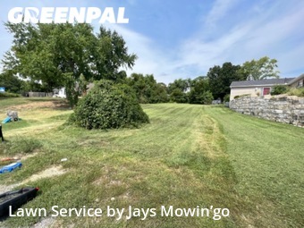 Grass Cut nearby Independence, MO, 