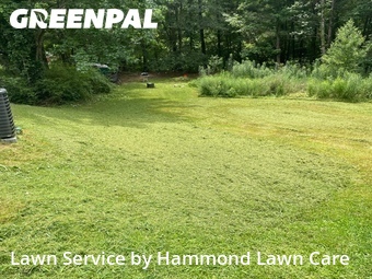Lawn Mowing Service nearby Hiram, GA, 