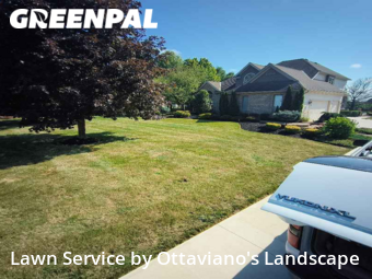 Yard Cutting nearby Marion, OH, 