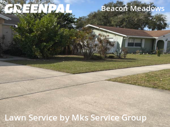 Yard Mowing nearby Tampa, FL, 