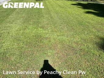 Grass Cutting nearby Hiram, GA, 