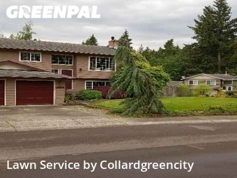 Yard Cutting nearby Kirkland, WA, 