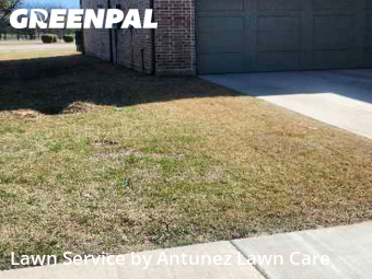 Grass Cut nearby North Richland Hills, TX, 