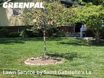 Lawn Care nearby Fairfax, VA, 