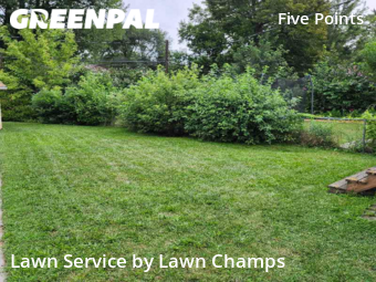 Lawn Care Service nearby Toledo, OH, 