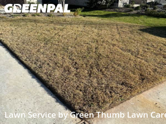 Lawn Carein Lewisville,75056,Lawn Mowing by Green Thumb Lawn Care, work completed in Feb , 2026