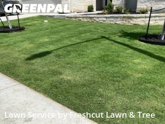 Lawn Mow nearby New Braunfels, TX, 