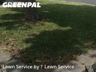 Lawn Mowing Service nearby Suisun City, CA, 