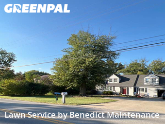 Grass Cut nearby Brunswick, OH, 