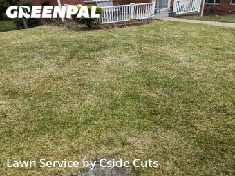 Grass Cut nearby Pittsburgh, PA, 