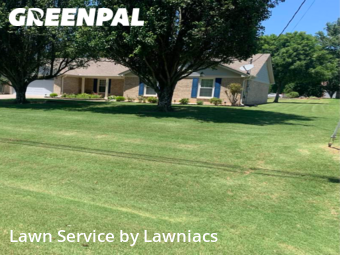 Grass Cutting nearby Harvest, AL, 