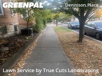 Yard Cutting nearby Columbus, OH, 