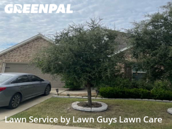 Yard Cutting nearby Forney, TX, 