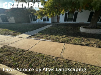 Lawn Mowingin The Colony,75056,Lawn Care by Alfas Landscaping, work completed in Dec , 2025