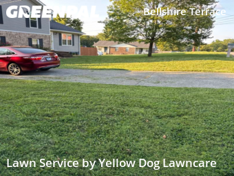 Lawn Mow nearby Nashville, TN, 