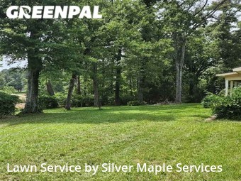 Lawn Service nearby Longview, TX, 