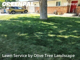 Lawn Mowing nearby Boise, ID, 