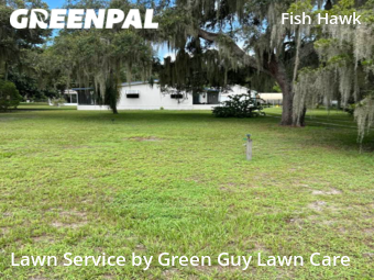 Lawn Cutting nearby Lithia, FL, 