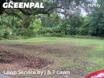 Grass Cut nearby Mobile, AL, 