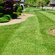 grass-cutting-businesses-in-Seattle-WA