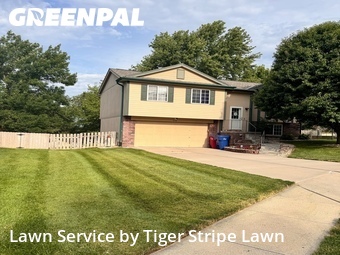 Grass Cut nearby Papillion, NE, 